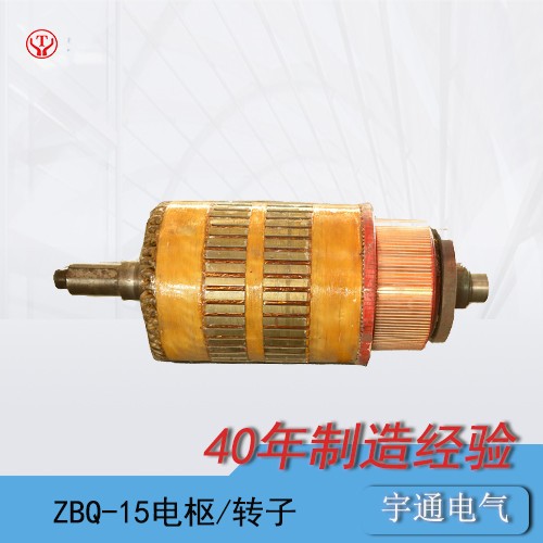 ZBQ-15轉子.jpg